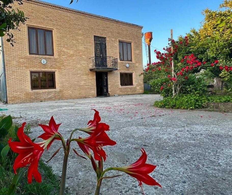 Hotel G I O Samtredia Exteriér fotografie